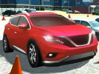 CIty Stunt Driving image